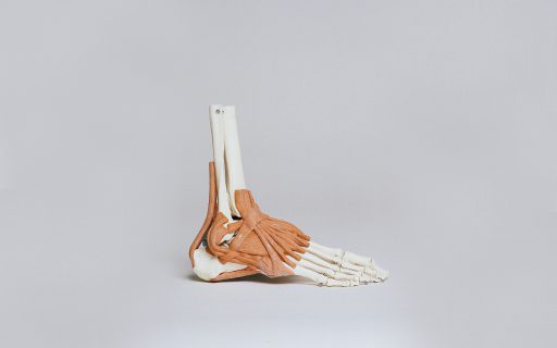 Ankle Injuries